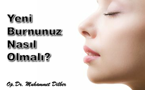 Yeni Burnunuz Nasıl Olmalı?